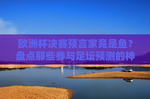 欧洲杯决赛预言家竟是鱼？盘点那些参与足坛预测的神奇水族居民，欧洲杯决赛预言家竟是鱼？