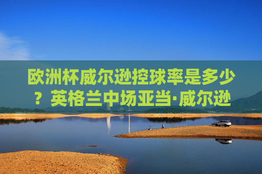 欧洲杯威尔逊控球率是多少？英格兰中场亚当·威尔逊数据解析，欧洲杯英格兰中场威尔逊控球率及数据解析