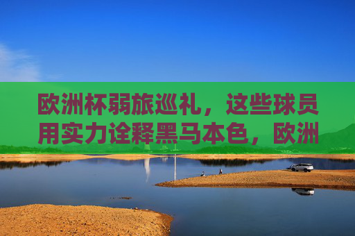欧洲杯弱旅巡礼,这些球员用实力诠释黑马本色,欧洲杯弱旅球员,实力铸就黑马本色