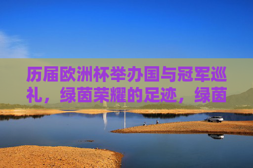 历届欧洲杯举办国与冠军巡礼，绿茵荣耀的足迹，绿茵荣耀的足迹，历届欧洲杯举办国与冠军巡礼