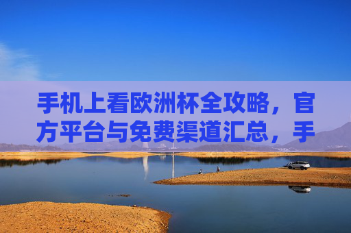 手机上看欧洲杯全攻略，官方平台与免费渠道汇总，手机看欧洲杯全攻略，官方平台与免费渠道汇总