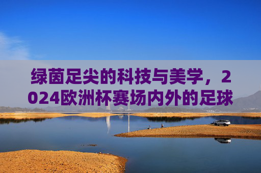 绿茵足尖的科技与美学,2024欧洲杯赛场内外的足球鞋巡礼,绿茵足尖的科技美学,2024欧洲杯足球鞋巡礼
