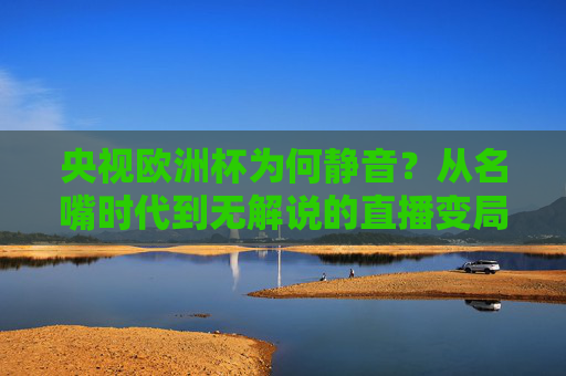 央视欧洲杯为何静音?从名嘴时代到无解说的直播变局