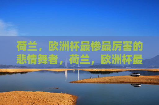 荷兰,欧洲杯最惨最厉害的悲情舞者,荷兰,欧洲杯最惨亦最厉害的悲情舞者