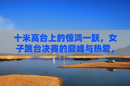 十米高台上的惊鸿一跃,女子跳台决赛的巅峰与热爱,十米高台惊鸿跃,女子跳台决赛的巅峰与热爱