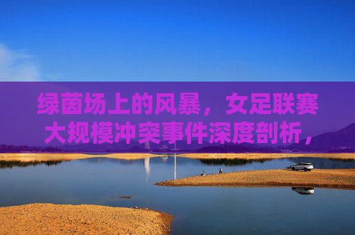 绿茵场上的风暴,女足联赛大规模冲突事件深度剖析,绿茵风暴,女足联赛大规模冲突事件深度剖析