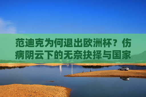 范迪克为何退出欧洲杯?伤病阴云下的无奈抉择与国家队的阵痛,范迪克因伤退出欧洲杯,伤病阴云下的无奈抉择与国家队阵痛