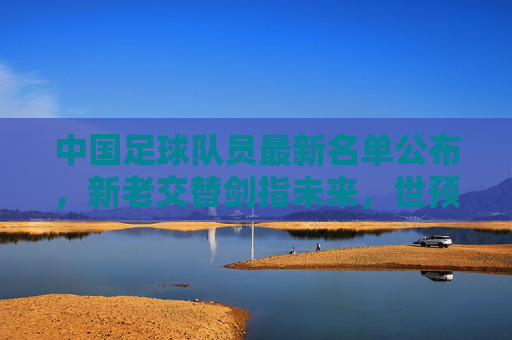 中国足球队员最新名单公布,新老交替剑指未来,世预赛征程启新篇,中国足球队最新名单,新老交替启世预赛新篇