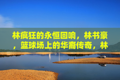 林疯狂的永恒回响，林书豪，篮球场上的华裔传奇，林疯狂的永恒回响，华裔传奇林书豪