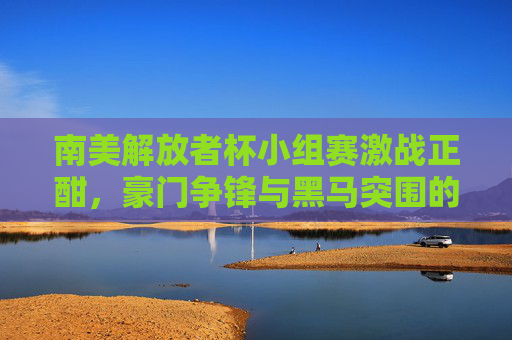 南美解放者杯小组赛激战正酣,豪门争锋与黑马突围的序曲,南美解放者杯小组战,豪门黑马激战序曲