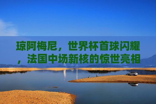 琼阿梅尼,世界杯首球闪耀,法国中场新核的惊世亮相,琼阿梅尼世界杯首球闪耀,法国中场新核惊世亮相