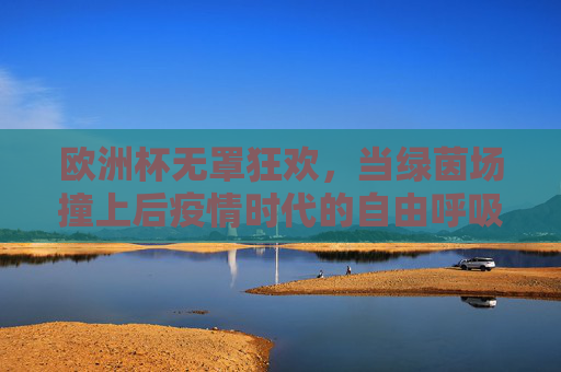 欧洲杯无罩狂欢，当绿茵场撞上后疫情时代的自由呼吸，欧洲杯无罩狂欢，绿茵场上的后疫情自由呼吸