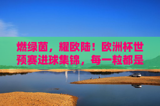 燃绿茵，耀欧陆！欧洲杯世预赛进球集锦，每一粒都是通往梦想的子弹！欧洲杯世预赛进球集锦，子弹射向梦想绿茵