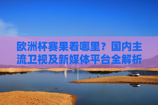 欧洲杯赛果看哪里?国内主流卫视及新媒体平台全解析,欧洲杯赛果哪里看?国内卫视与新媒体平台全解析