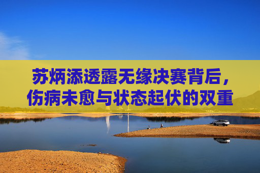 苏炳添透露无缘决赛背后，伤病未愈与状态起伏的双重考验，苏炳添无缘决赛，伤病未愈与状态起伏的双重考验