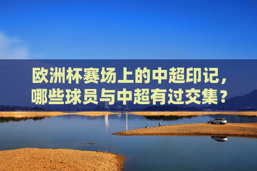 欧洲杯赛场上的中超印记,哪些球员与中超有过交集?欧洲杯球员的中超印记