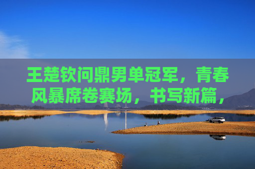 王楚钦问鼎男单冠军，青春风暴席卷赛场，书写新篇，王楚钦青春风暴席卷赛场，问鼎男单书写新篇