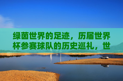 绿茵世界的足迹，历届世界杯参赛球队的历史巡礼，世界杯参赛球队的绿茵足迹