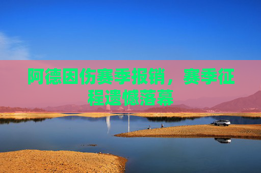 阿德因伤赛季报销,赛季征程遗憾落幕