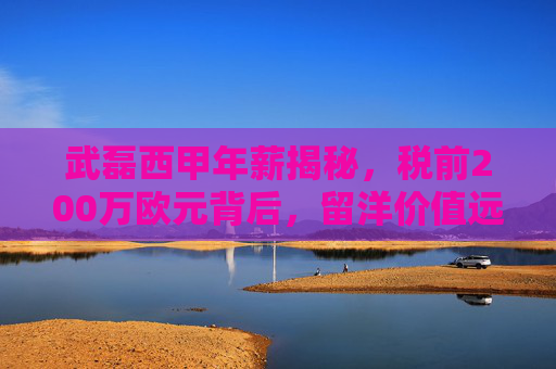 武磊西甲年薪揭秘,税前200万欧元背后,留洋价值远超薪资,武磊西甲年薪200万欧元,留洋价值远超薪资
