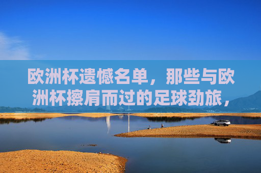 欧洲杯遗憾名单,那些与欧洲杯擦肩而过的足球劲旅,欧洲杯遗憾名单,擦肩而过的足球劲旅