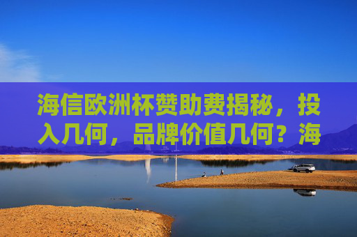海信欧洲杯赞助费揭秘，投入几何，品牌价值几何？海信欧洲杯赞助投入与品牌价值揭秘