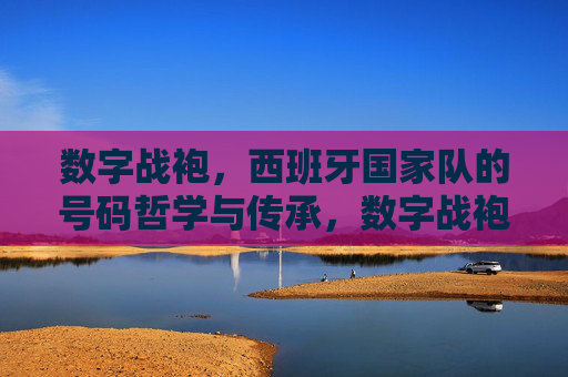 数字战袍,西班牙国家队的号码哲学与传承,数字战袍,西班牙国家队的号码哲学与传承