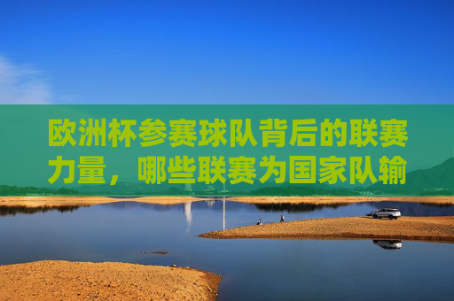 欧洲杯参赛球队背后的联赛力量,哪些联赛为国家队输送精英?欧洲杯参赛球队背后的联赛力量,输送精英的联赛