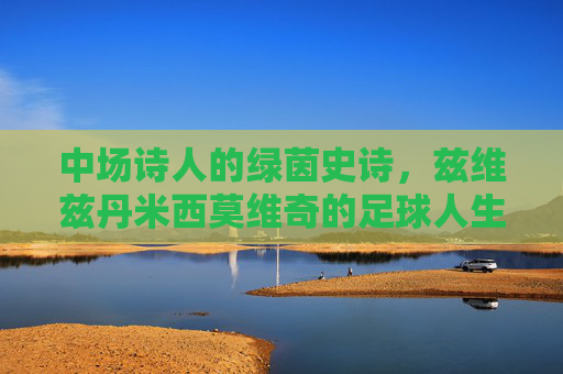 中场诗人的绿茵史诗,兹维兹丹米西莫维奇的足球人生,兹维兹莫维奇,中场诗人的绿茵史诗