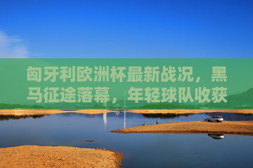 匈牙利欧洲杯最新战况，黑马征途落幕，年轻球队收获成长，匈牙利欧洲杯黑马征途落幕，年轻球队收获成长