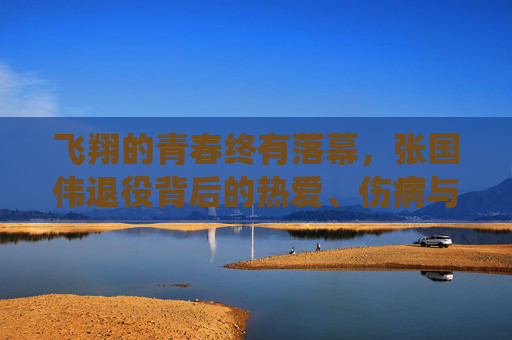 飞翔的青春终有落幕,张国伟退役背后的热爱、伤病与人生选择