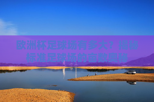欧洲杯足球场有多大?揭秘标准足球场的亩数奥秘