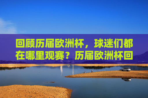 回顾历届欧洲杯,球迷们都在哪里观赛?历届欧洲杯回顾,球迷们的观赛地点