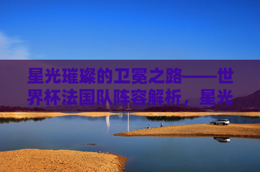 星光璀璨的卫冕之路——世界杯法国队阵容解析，星光璀璨的卫冕之路——世界杯法国队阵容解析