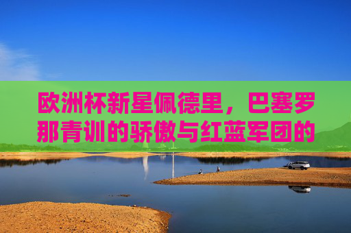 欧洲杯新星佩德里,巴塞罗那青训的骄傲与红蓝军团的未来核心,欧洲杯新星佩德里,巴塞罗那青训骄傲与红蓝未来核心