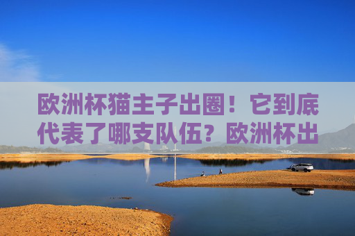 欧洲杯猫主子出圈！它到底代表了哪支队伍？欧洲杯出圈猫主子代言哪支球队？