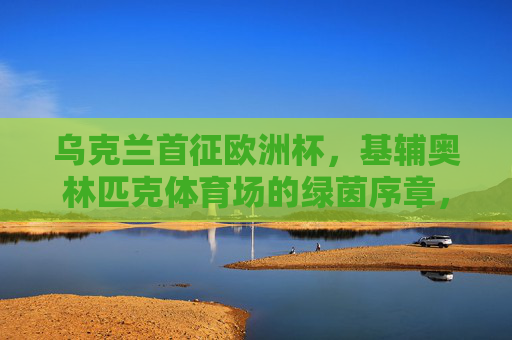 乌克兰首征欧洲杯，基辅奥林匹克体育场的绿茵序章，乌克兰首征欧洲杯，基辅奥林匹克体育场的绿茵序章
