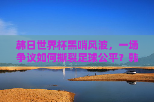 韩日世界杯黑哨风波,一场争议如何撕裂足球公平?韩日世界杯黑哨风波,足球公平的撕裂之痛