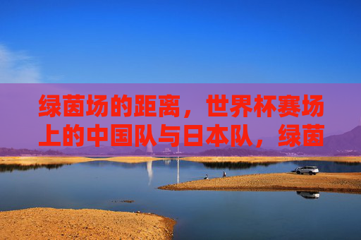 绿茵场的距离,世界杯赛场上的中国队与日本队,绿茵场的距离,世界杯赛场上的中日足坛差距