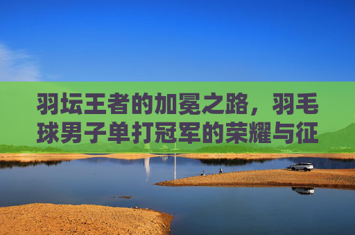 羽坛王者的加冕之路,羽毛球男子单打冠军的荣耀与征程