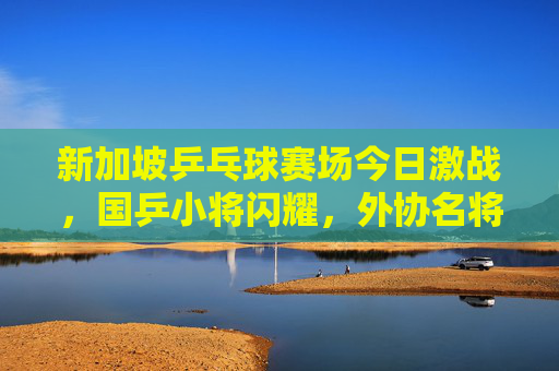 新加坡乒乓球赛场今日激战,国乒小将闪耀,外协名将爆冷引热议,新加坡乒赛激战,国乒小将闪耀,外协名将爆冷引热议
