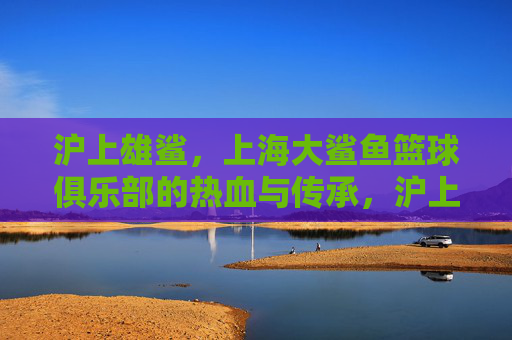 沪上雄鲨,上海大鲨鱼篮球俱乐部的热血与传承,沪上雄鲨,上海大鲨鱼的热血传承
