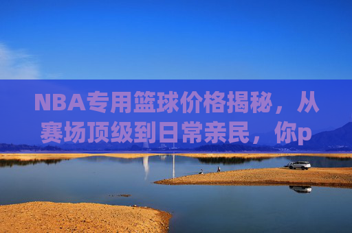 NBA专用篮球价格揭秘，从赛场顶级到日常亲民，你pick哪一款？NBA篮球价格揭秘，赛场顶级到日常亲民，你pick哪款？