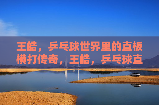 王皓,乒乓球世界里的直板横打传奇,王皓,乒乓球直板横打传奇