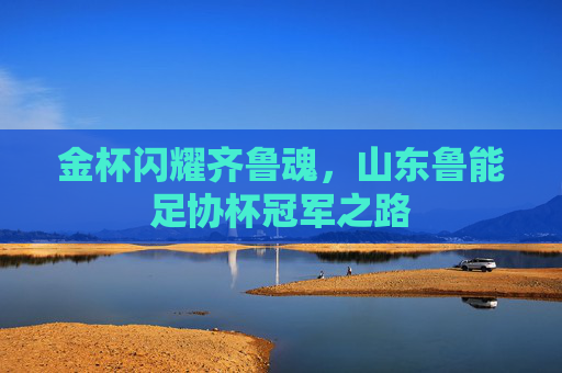 金杯闪耀齐鲁魂,山东鲁能足协杯冠军之路