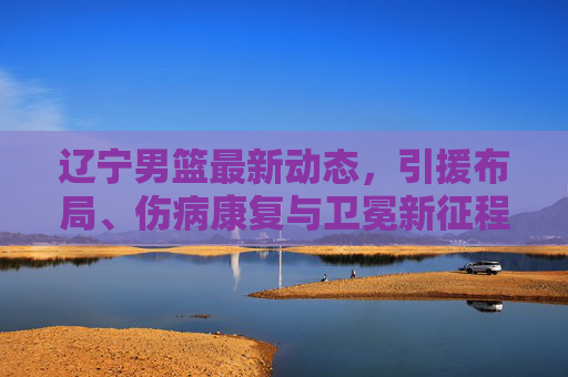 辽宁男篮最新动态,引援布局、伤病康复与卫冕新征程,辽宁男篮引援布局、伤病康复,开启卫冕新征程