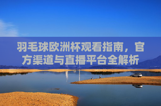 羽毛球欧洲杯观看指南,官方渠道与直播平台全解析