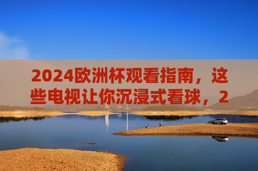 2024欧洲杯观看指南，这些电视让你沉浸式看球，2024欧洲杯沉浸式看球电视指南