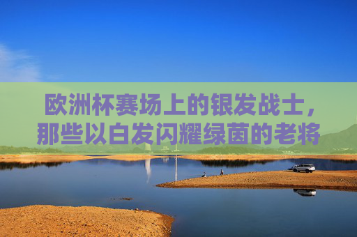 欧洲杯赛场上的银发战士,那些以白发闪耀绿茵的老将,欧洲杯银发战士,白发闪耀绿茵的老将