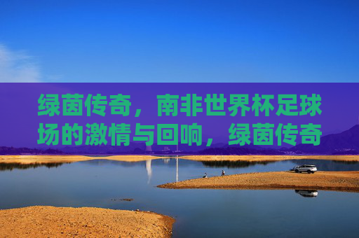 绿茵传奇,南非世界杯足球场的激情与回响,绿茵传奇,南非世界杯的激情回响